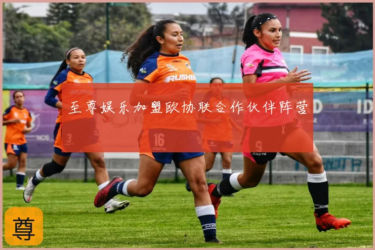 至尊娱乐加盟欧协联合作伙伴阵营
