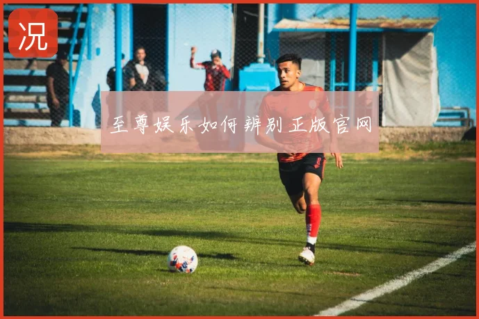 至尊娱乐如何辨别正版官网